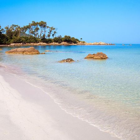 Grand Studio Rue Pietonne Ajaccio Аяччо Екстер'єр фото
